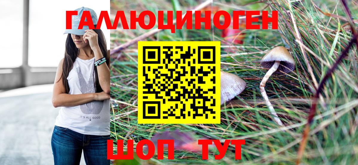 Кудрово  Галлюциногенные грибы Magic Shrooms  где можно купить наркотик  Вход с VPN 